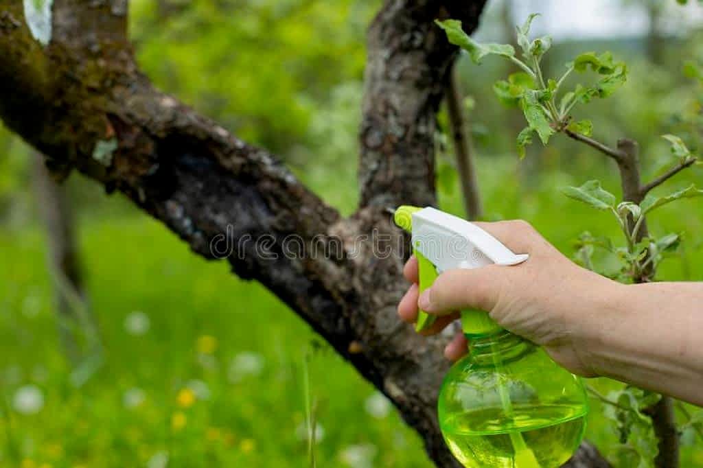 Bahçe ve Ağaç İlaçlama Uygulaması